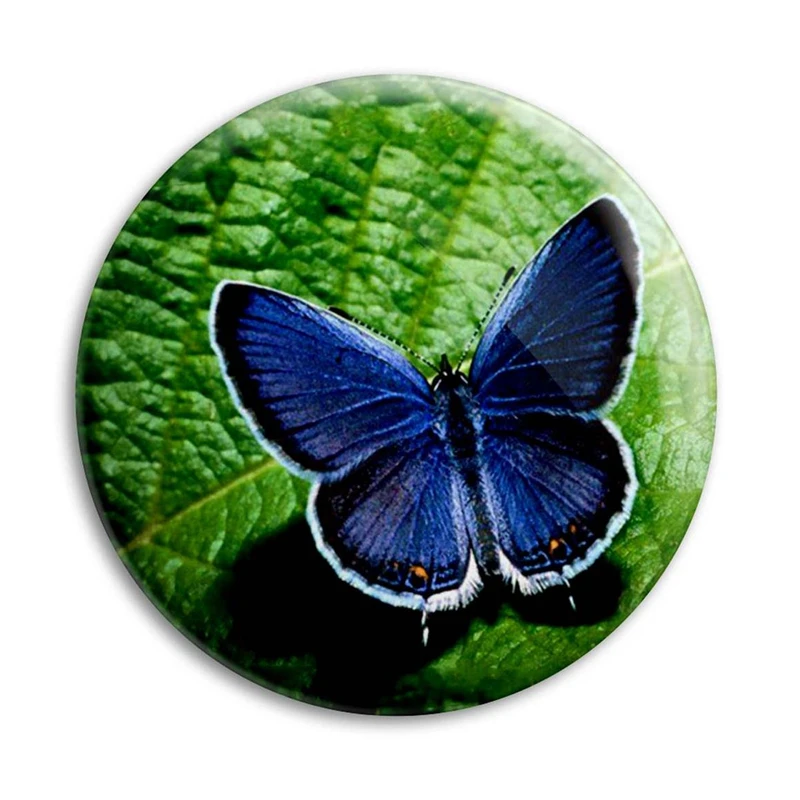 مگنت پرمانه طرح پروانه کد pmag.22138