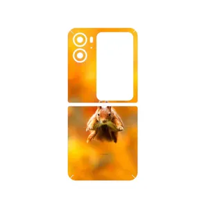 MAHOOT Squirrel Cover Sticker for Oppo Find N2 Flip