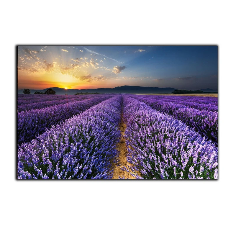 تابلو شاسی بکلیت طرح مزرعه اسطوخودوس مدل SH-S3003