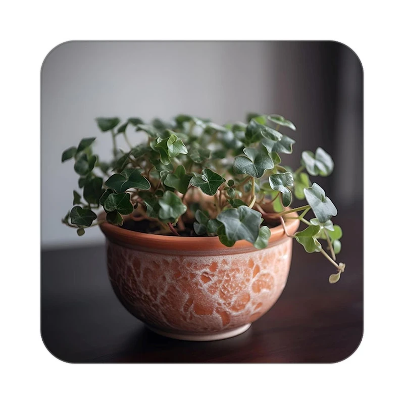 زیر لیوانی کاکتی طرح گل مدل mp17985