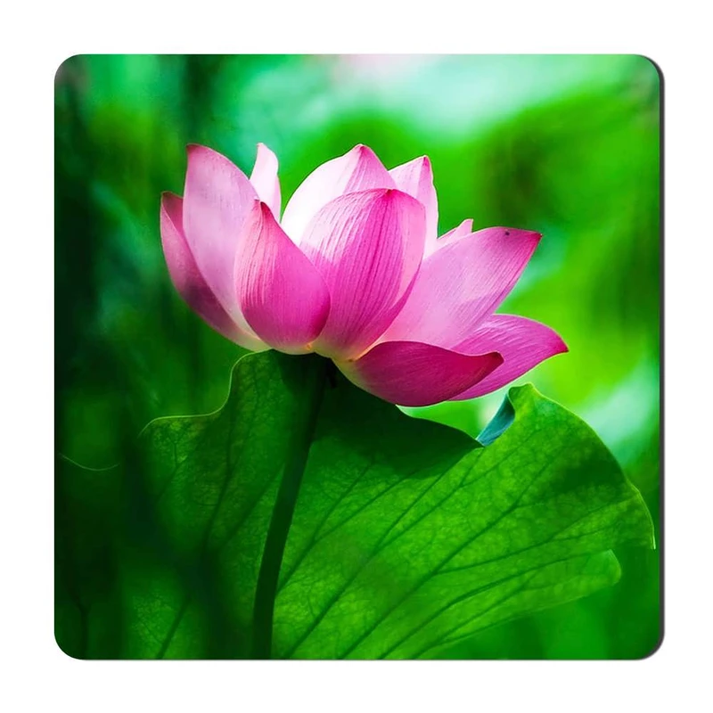 مگنت گالری باجو طرح گل کد flower 23