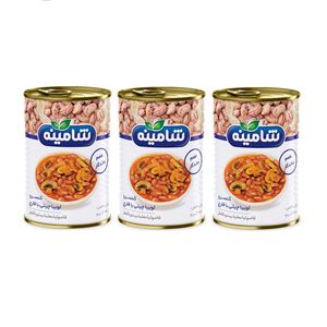کنسرو لوبیا چیتی با قارچ شامینه - 350 گرم بسته 3 عددی