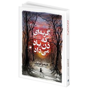کتاب گربه ای که ذن یاد می داد اثر جیمز نوربری ترجمه سمیرا اسکندری انتشارات هیتا