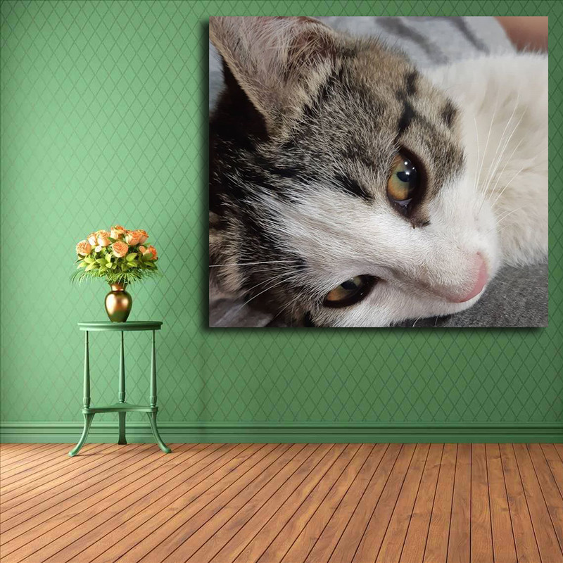 تابلو شاسی مدل گربه کد 1