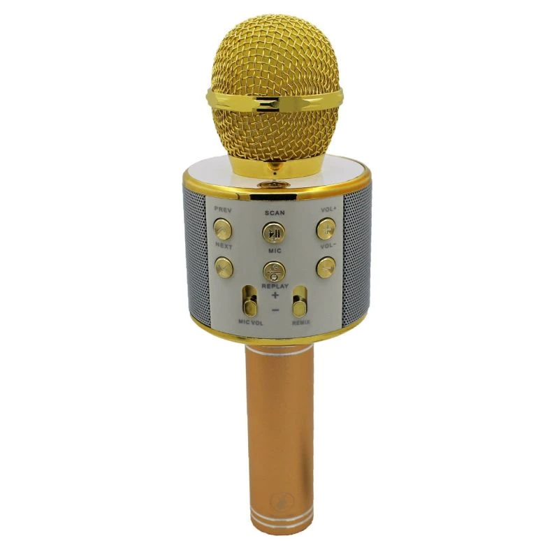 میکروفون اسپیکر مدل WS-858 GODFREY