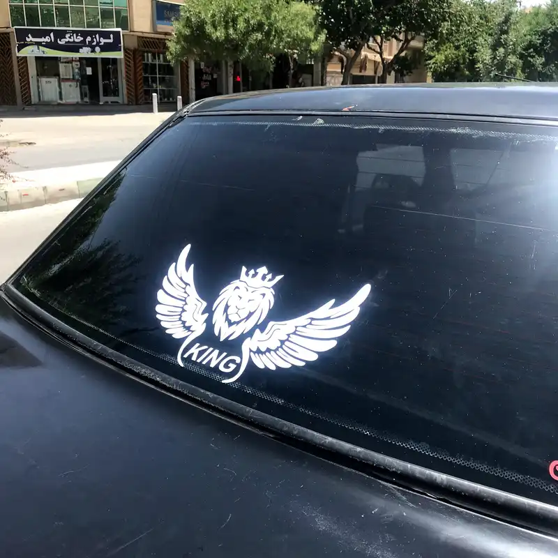 برچسب بدنه ی خودرو طرح بال کد SB101