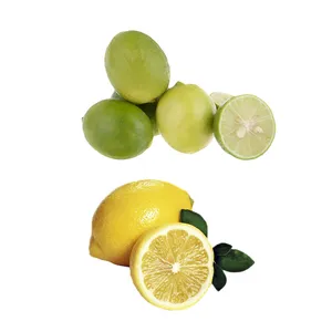 لیموترش سنگی - 2 کیلوگرم و لیموترش شیرازی - 2 کیلوگرم
