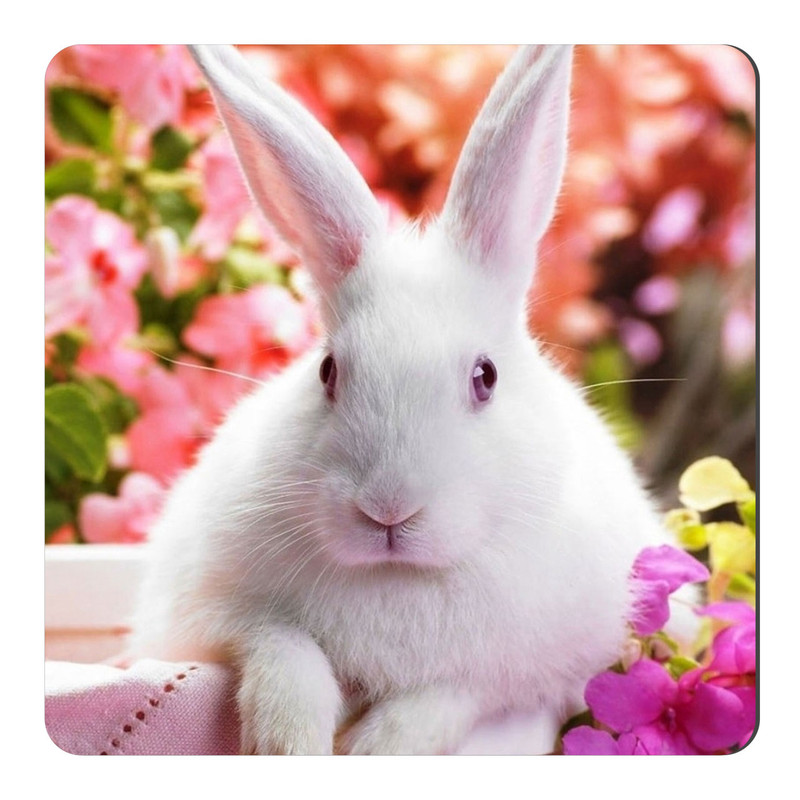  مگنت طرح خرگوش در گلها کد NIM1314 