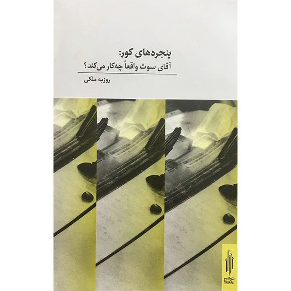 کتاب پنجره های كور اثر روزبه ملكی انتشارات كارنامه