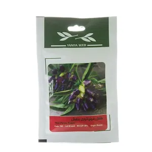 بذر فلفل مینیاتوری بنفش وانیا سید کد F69