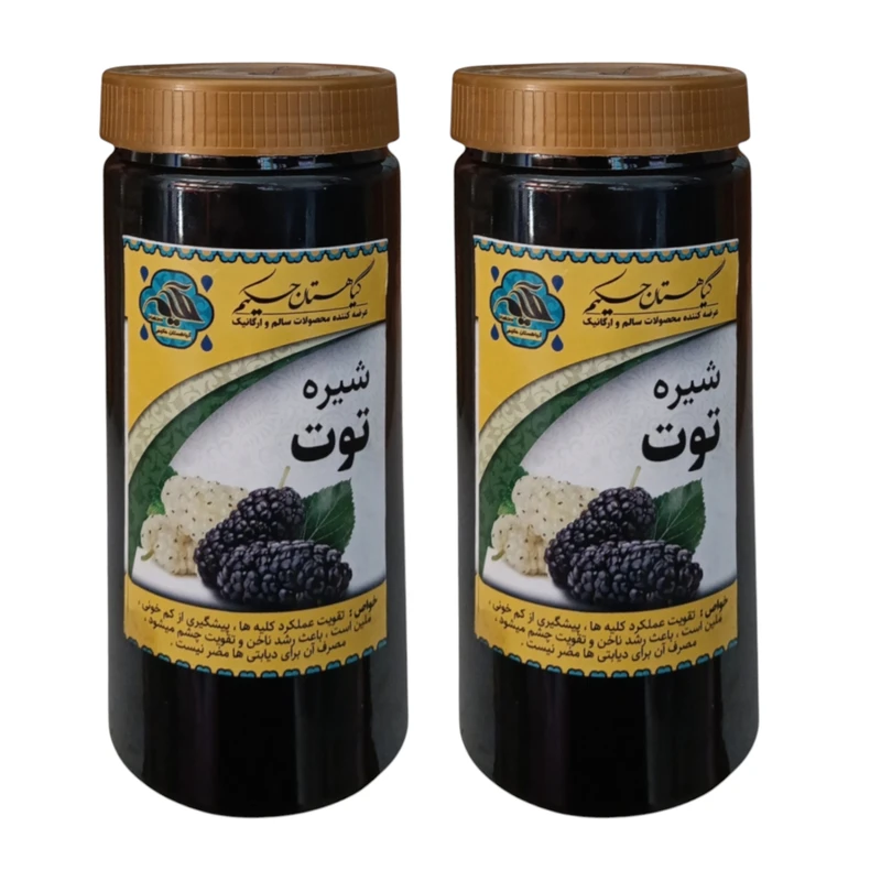 شیره توت گیاهستان حکیم - 1 کیلوگرم بسته 2 عددی