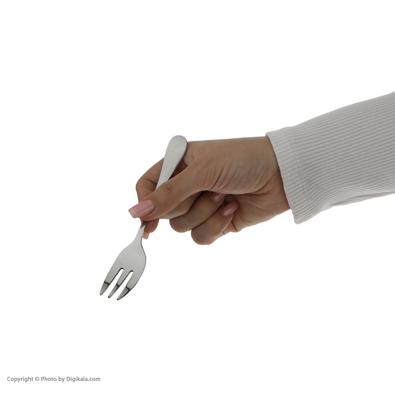 چنگال میوه خوری صنایع استیل ایران مدل پارما مجموعه شش عددی