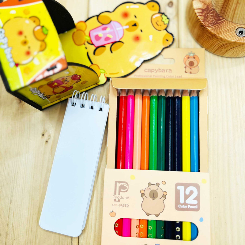 بسته لوازم تحریر مدل کاپی بارا مجموعه 3 عددی