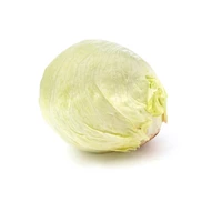 کاهو پیچ Fresh مقدار 1 عدد