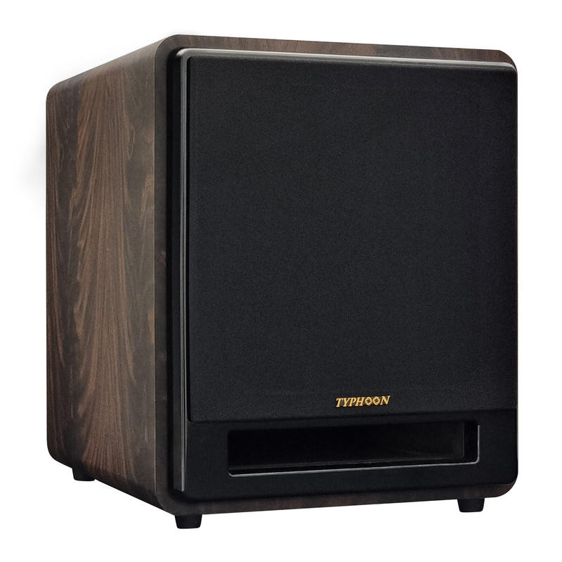 ساب ووفر اکتیو تایفون مدل TY-SB10A