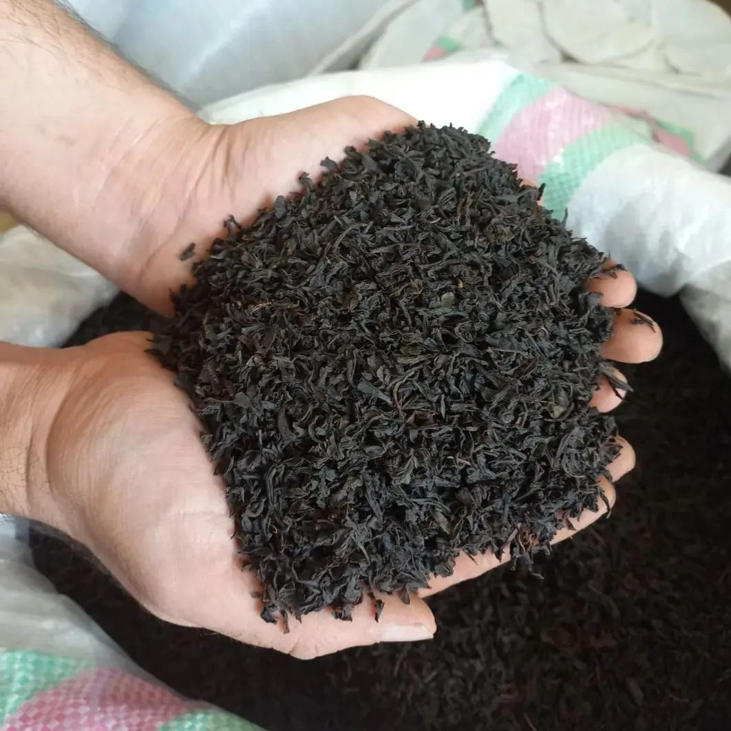 چای سیاه ایرانی سرگل بهاره عطر گیلان - 1 کیلوگرم