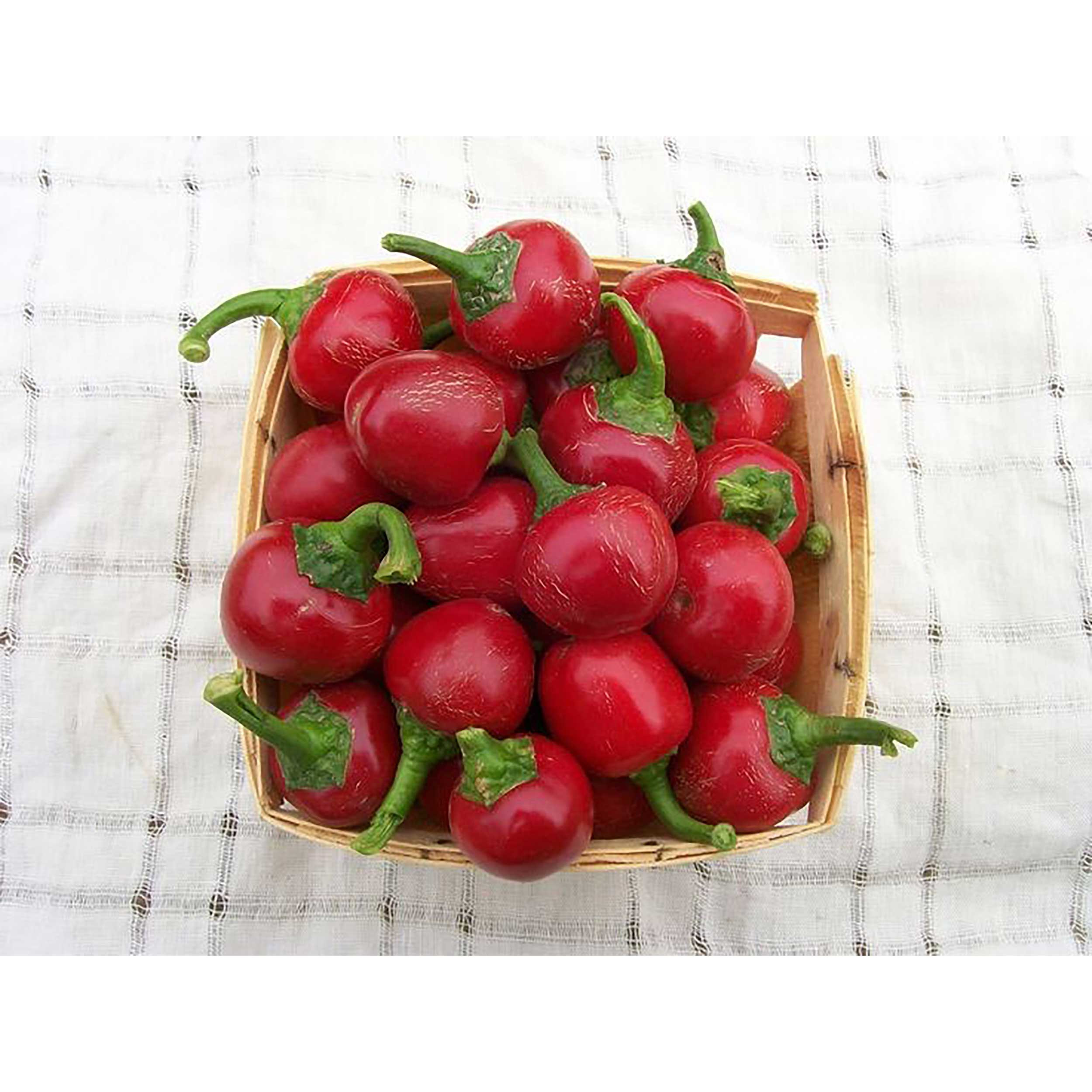 بذر فلفل چری گیلاسی تند فصل سبز کد FSSEED-045