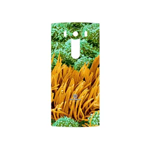 MAHOOT Atom Universe 6 Cover Sticker for LG V10