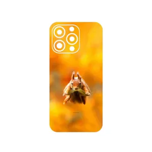 MAHOOT Squirrel Cover Sticker for Apple iPhone 13 Pro Max