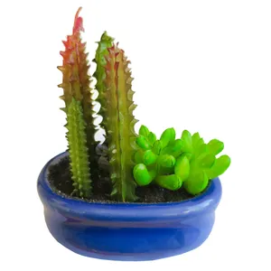 گلدان به همراه کاکتوس مصنوعی مدل  Minicactus کد M3