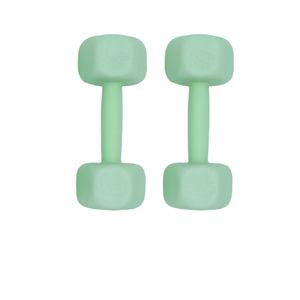 دمبل ایروبیک وزن 2.5 کیلوگرم رادیس فیت مدل RPHF-Fit 2500 بسته دو عددی