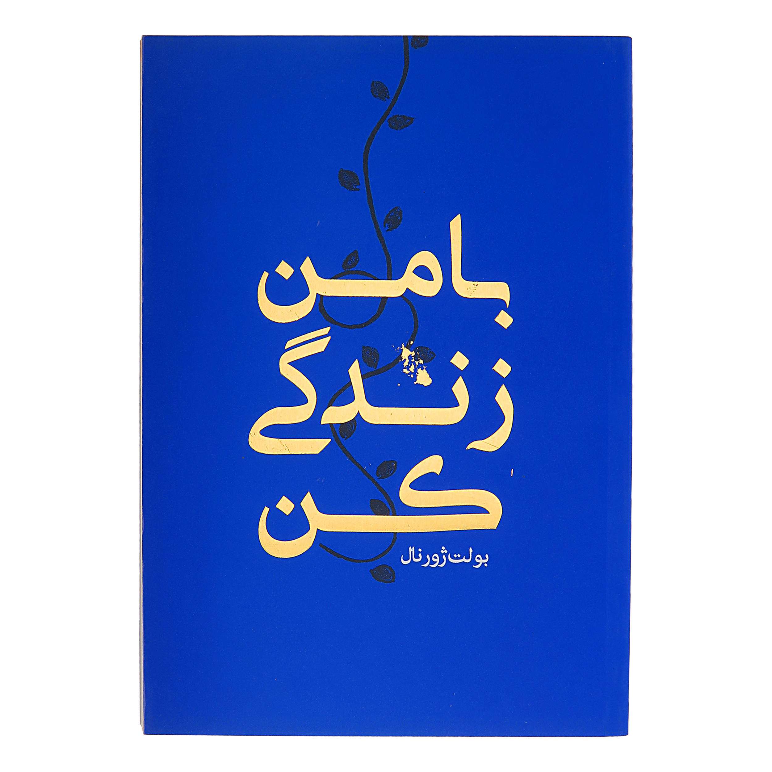کتاب با من زندگی کن اثر حسین قاسم زاده انتشارات رهنج