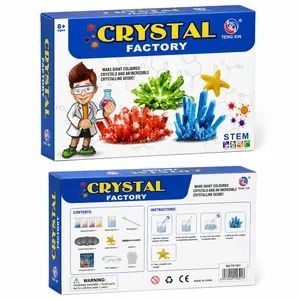 Teng Xin STEM Educational Kit – Colored Crystal Growing Model (Code WPX-011)