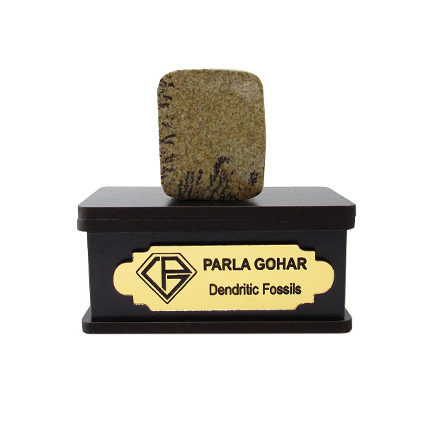 سنگ راف شجر فسیلی پارلا گوهر کد 2199