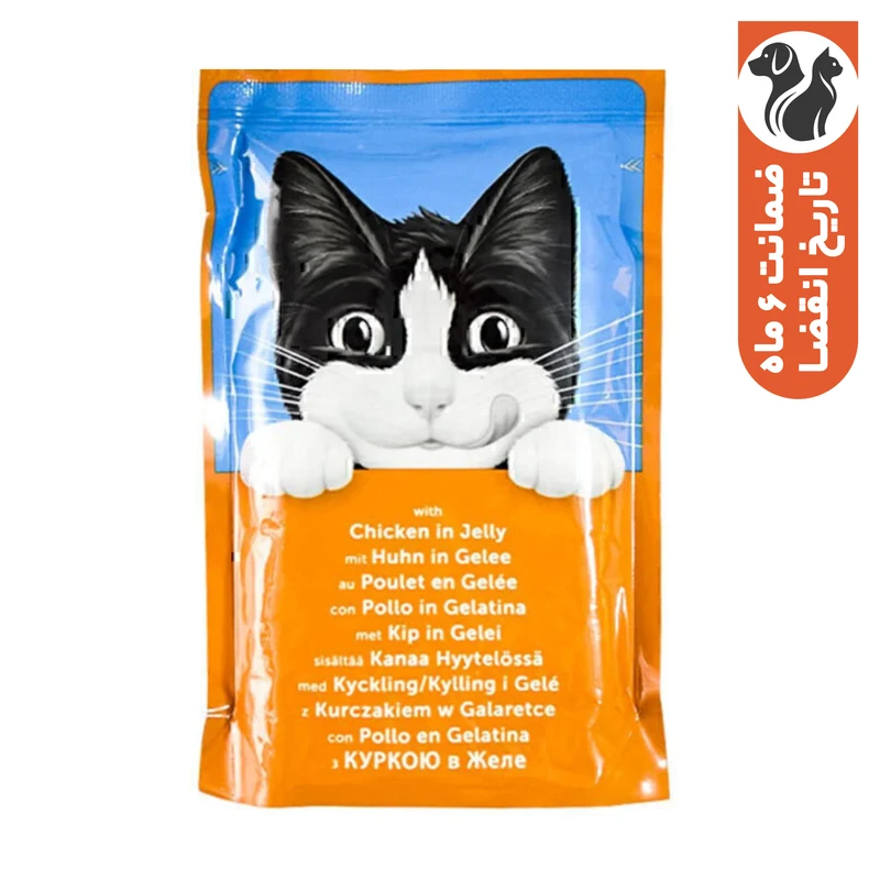 پوچ گربه بالغ فلیکس مدل ژله ای طعم مرغ وزن 85 گرم