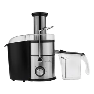غذاساز فونیکس مدل PH-8000