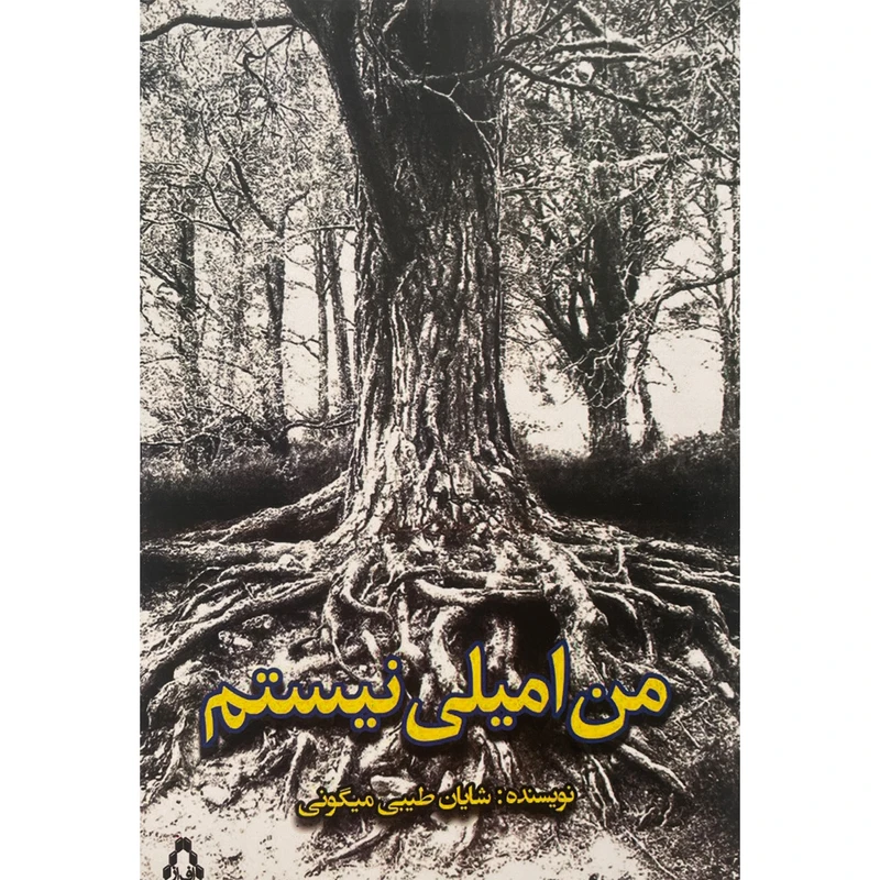 کتاب من اميلی نيستم اثر شايان طيبی ميگونی انتشارات افراز