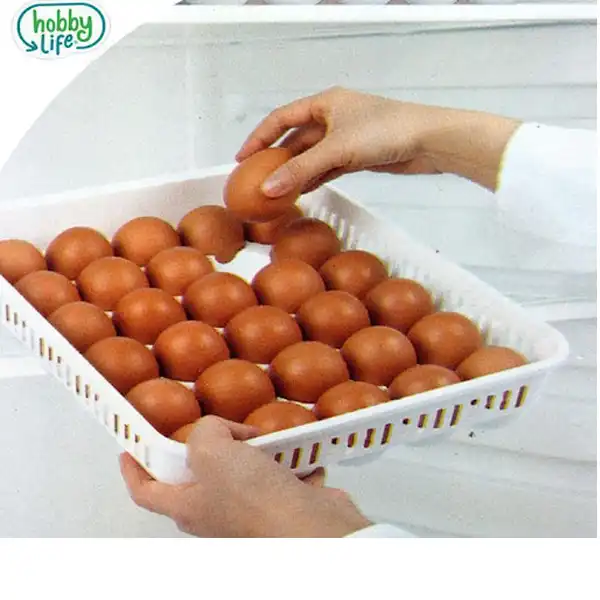 ظرف نگهدارنده تخم مرغ هوبی لایف مدل 1053