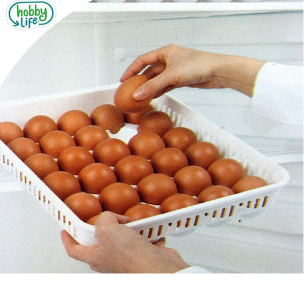 ظرف نگهدارنده تخم مرغ هوبی لایف مدل 1053 ظرف نگهدارنده تخم مرغ هوبی لایف مدل 1053