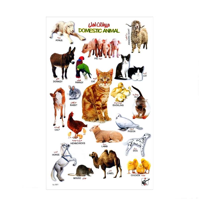برچسب مدل حیوانات اهلی