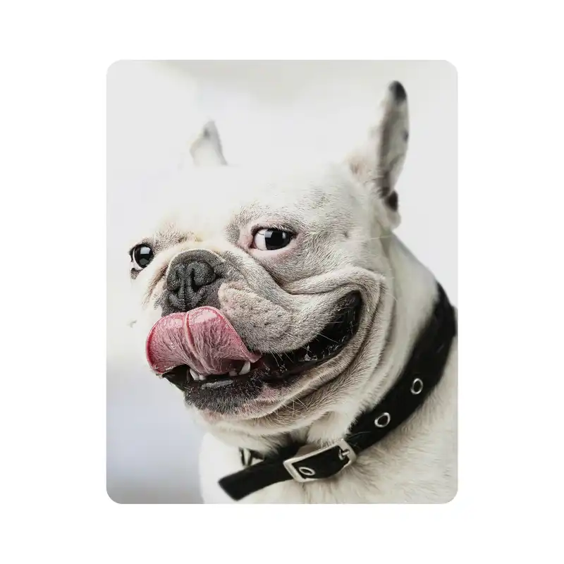 ماوس پد اطلس آبی طرح سگ مدل T2022