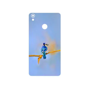 MAHOOT Cyanocitta cristata Cover Sticker for Tecno Camon CX Air