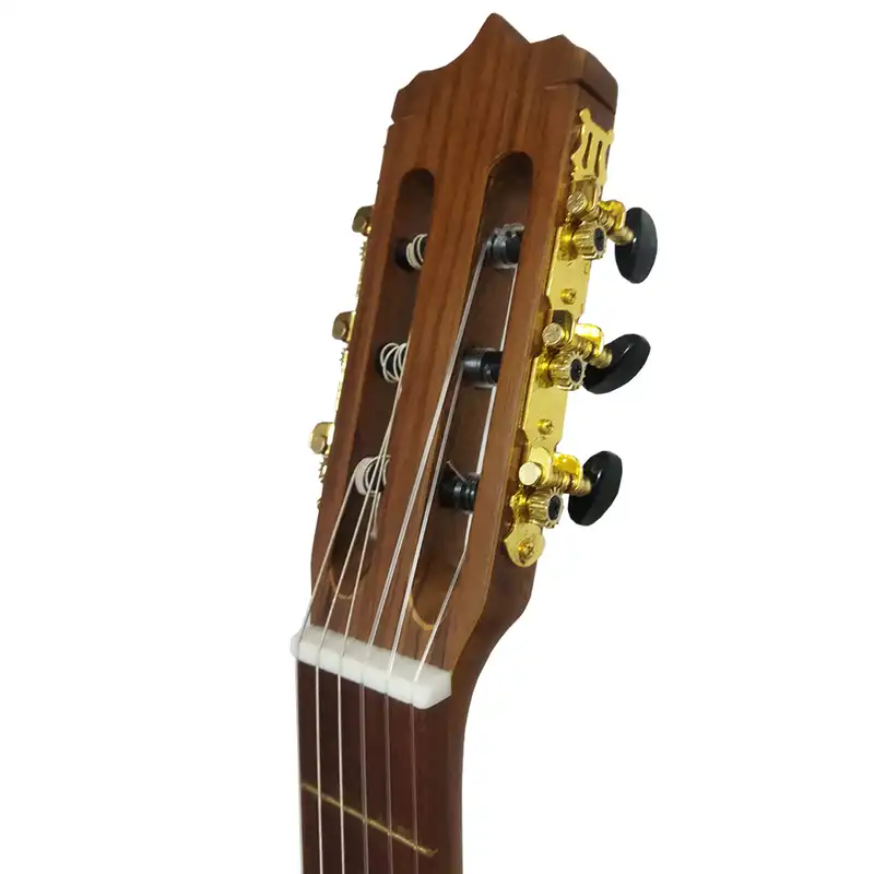 گیتار پارسی مدل P40