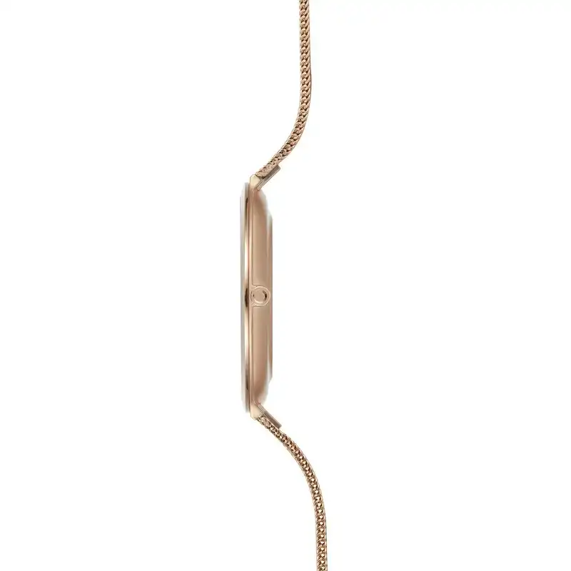 ساعت مچی عقربه ای زنانه اباکو مدل v269lxvwmv