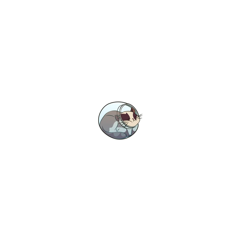 استیکر لپ تاپ لولو طرح گربه خوابالو کد 544
