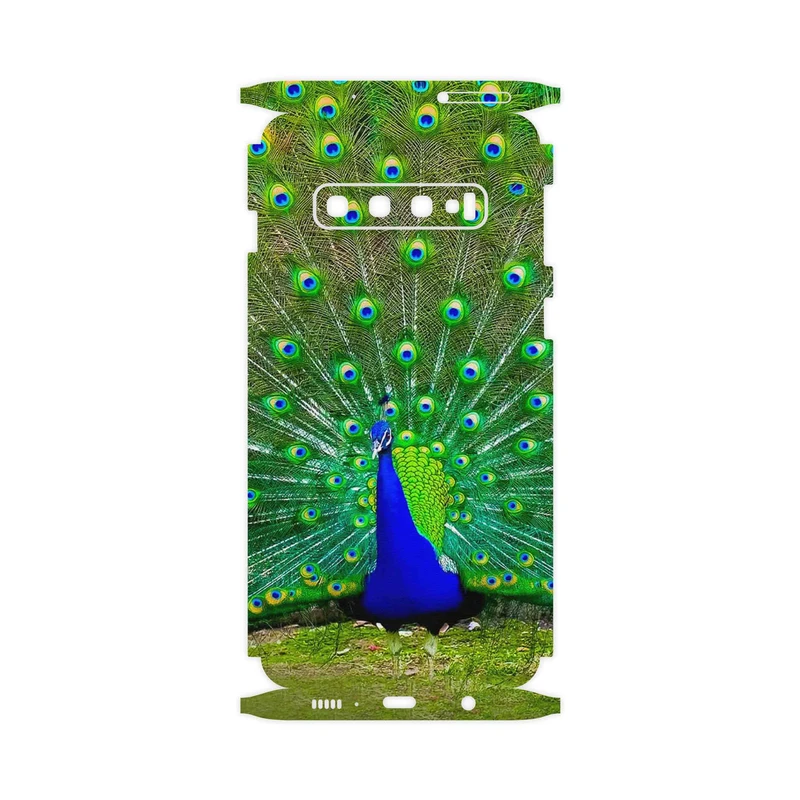 برچسب پوششی ماهوت مدل Peacock-FullSkin مناسب برای گوشی موبایل سامسونگ Galaxy S10