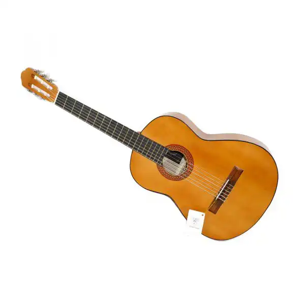 گیتار مدل DM