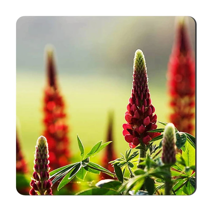 مگنت گالری باجو طرح گل کد flower 12