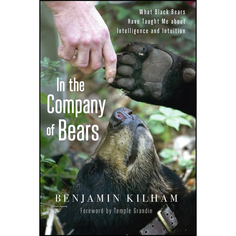 کتاب In the Company of Bears اثر Benjamin Kilham and Temple Grandin انتشارات Chelsea Green Publishing