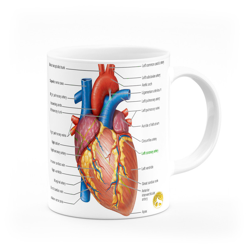 ماگ هومرو طرح پزشکی مدل MG9048