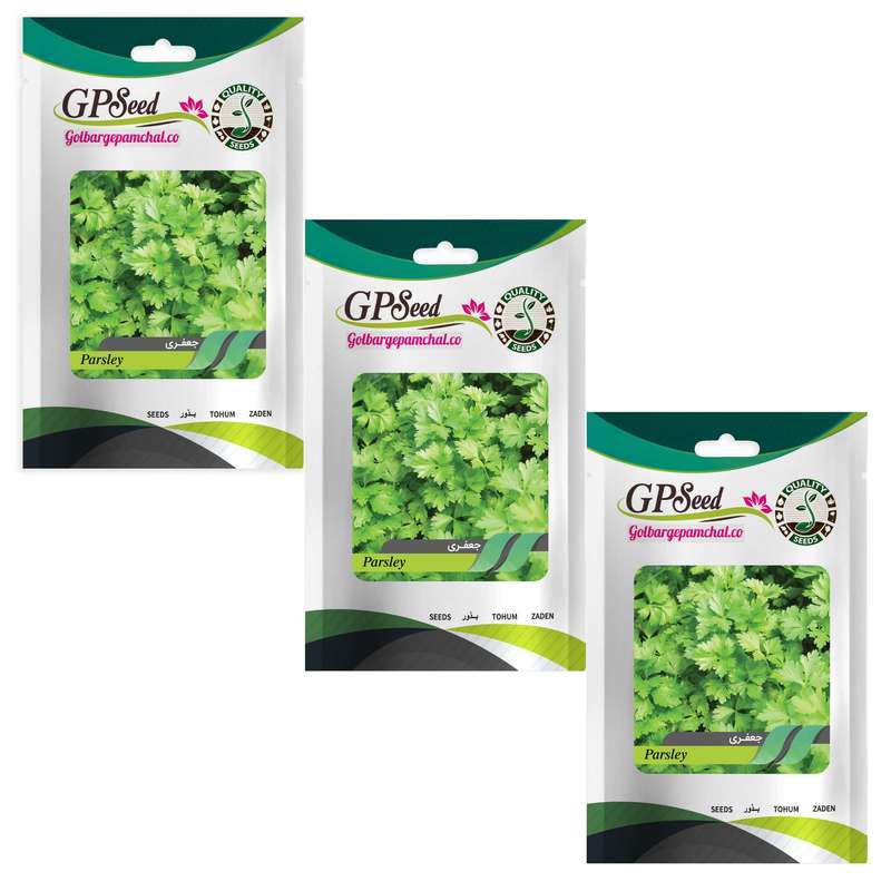 بذر جعفری گلبرگ پامچال کد GPF-149 مجموعه 3 عددی