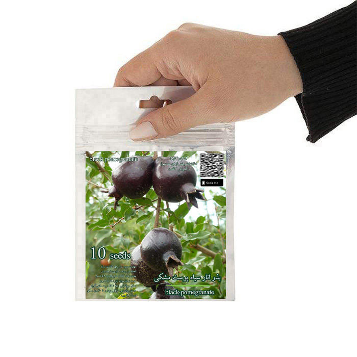 بذر انار سیاه پوست مشکی گلس گاردن مدل GL10
