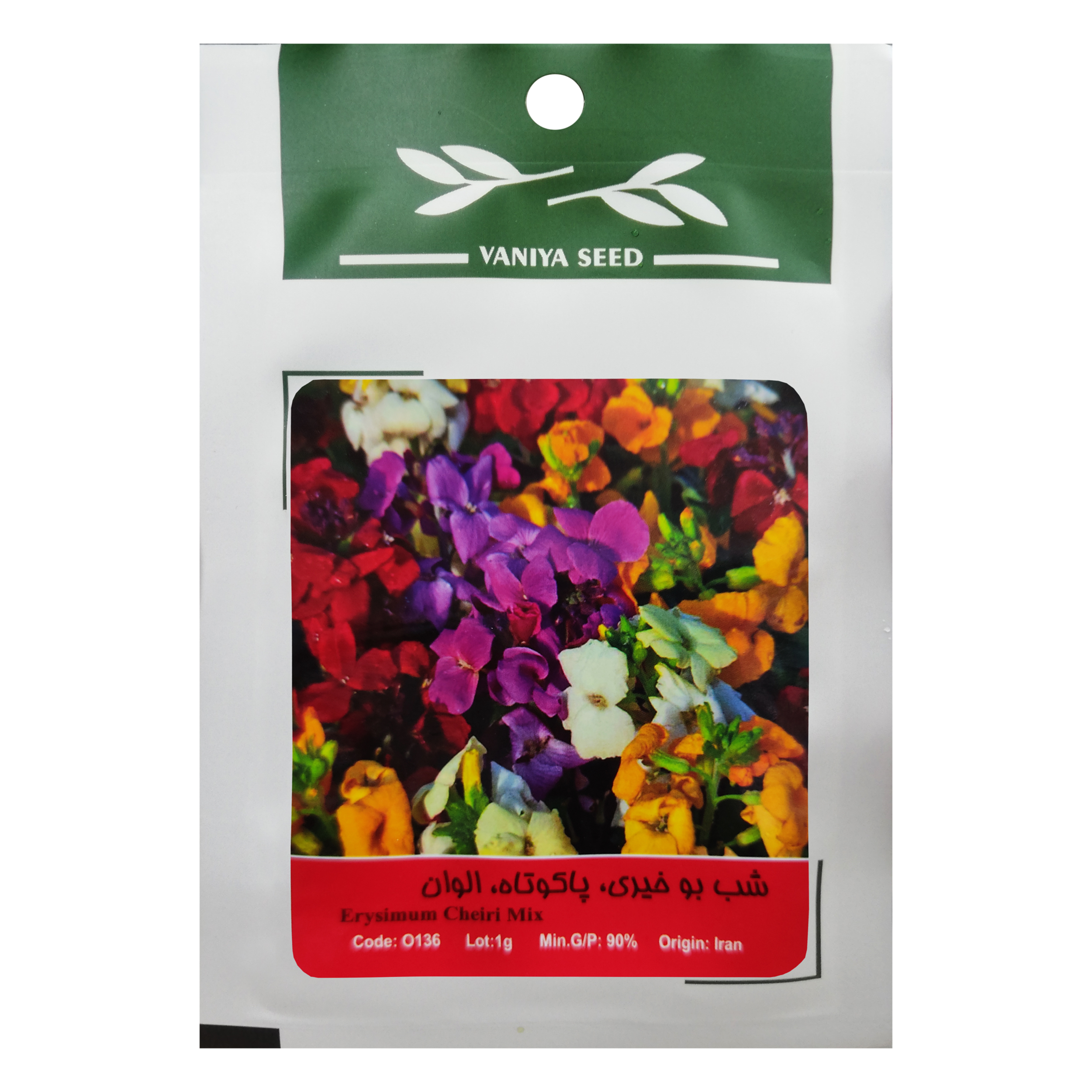 بذر گل شب بو خیری پاکوتاه الوان وانیا سید مدل O136