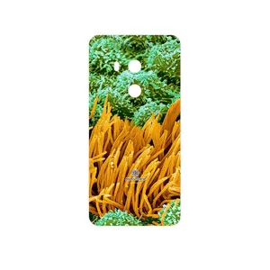 MAHOOT Atom Universe 6 Cover Sticker for HTC U11 Eyes