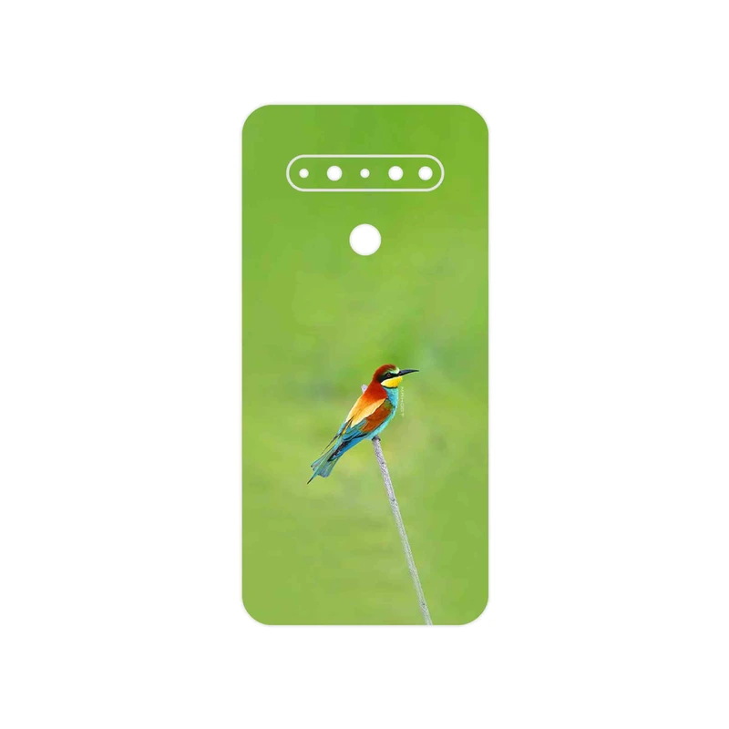 برچسب پوششی ماهوت مدل European bee-eater مناسب برای گوشی موبایل ال جی K61