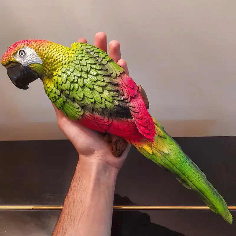 مجسمه مدل طوطی دیواری G122